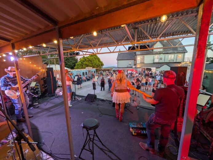 The Wild Ones Country Band performing live on an outdoor stage for a crowd at a UK event